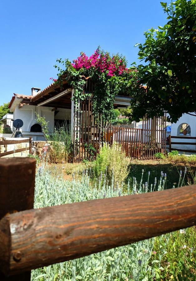 Koel Country House Ano Almiri 외부 사진